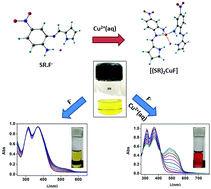 Graphical abstract: A Cu(ii) mediated approach for colorimetric detection of aqueous fluoride in ppm level with a Schiff base receptor