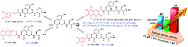 Graphical abstract: Peptides N-connected to hydroxycoumarin and cinnamic acid derivatives: synthesis and fluorescence spectroscopic, antioxidant and antimicrobial properties
