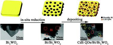 Graphical abstract: Structure of flower-like hierarchical CdS QDs/Bi/Bi2WO6 heterojunction with enhanced photocatalytic activity