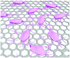 Graphical abstract: Fabrication of the graphene honeycomb structure as a scaffold for the study of cell growth
