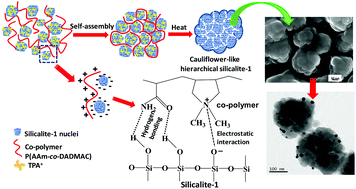 Graphical abstract: Cauliflower-like hierarchical silicalite-1 supported AuNPs toward improved catalytic reduction of p-nitrophenol