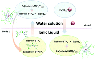 Graphical abstract: Extraction performance of Eu3+ by using heterocyclic N-donor ligands with different structures in ionic liquids: an experimental and theoretical study