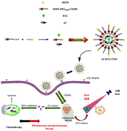 Graphical abstract: Delivery of coumarin-containing all-trans retinoic acid derivatives via targeted nanoparticles encapsulating indocyanine green for chemo/photothermal/photodynamic therapy of breast cancer