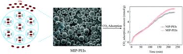 Graphical abstract: Preparation and characterization of molecularly imprinted solid amine adsorbent for CO2 adsorption