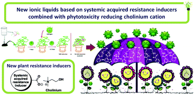 Graphical abstract: New ionic liquids based on systemic acquired resistance inducers combined with the phytotoxicity reducing cholinium cation