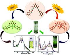 Graphical abstract: A highly sensitive pyridine-dicarbohydrazide based chemosensor for colorimetric recognition of Cu2+, AMP2−, F− and AcO− ions