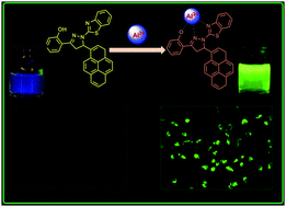 Graphical abstract: A pyrazoline-based fluorescent chemosensor for Al3+ ion detection and live cell imaging