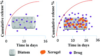 Graphical abstract: Xerogel modified diatomaceous earth microparticles for controlled drug release studies