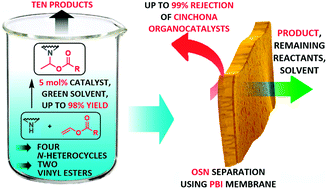 Graphical abstract: Cinchona derivatives as sustainable and recyclable homogeneous organocatalysts for aza-Markovnikov addition