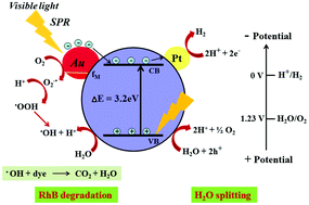 Graphical abstract: Solar light active plasmonic Au@TiO2 nanocomposite with superior photocatalytic performance for H2 production and pollutant degradation