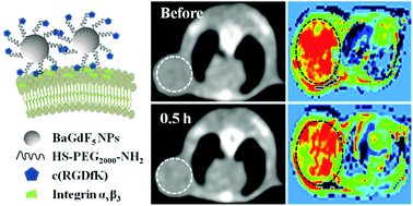 Graphical abstract: Active targeted dual-modal CT/MR imaging of VX2 tumors using PEGylated BaGdF5 nanoparticles conjugated with RGD