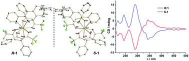 Graphical abstract: A pair of mononuclear Dy(iii) enantiomers showing single-ion magnetic and ferroelectric properties