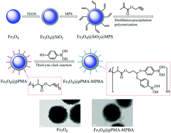 Graphical abstract: Boronic acid-functionalized iron oxide magnetic nanoparticles via distillation–precipitation polymerization and thiol–yne click chemistry for the enrichment of glycoproteins