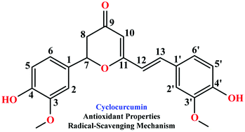 Graphical abstract: Antioxidant properties and free radical scavenging mechanisms of cyclocurcumin