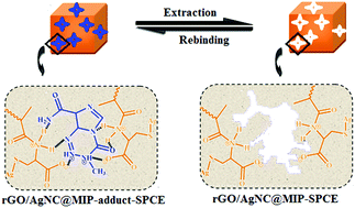 Graphical abstract: A novel electrocatalytic nanocomposite of reduced graphene oxide/silver nanocube hybrid decorated imprinted polymer for ultra-trace sensing of temozolomide