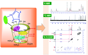 Graphical abstract: Host–guest complexation of ionic liquid with α- and β-cyclodextrins: a comparative study by 1H-NMR, 13C-NMR and COSY