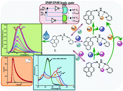 Graphical abstract: A multi-responsive thiosemicarbazone-based probe for detection and discrimination of group 12 metal ions and its application in logic gates