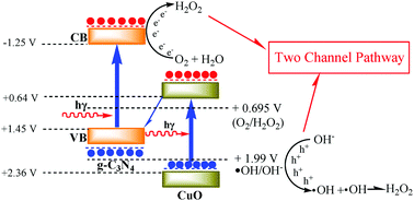 Graphical abstract: “Two channel” photocatalytic hydrogen peroxide production using g-C3N4 coated CuO nanorod heterojunction catalysts prepared via a novel molten salt-assisted microwave process