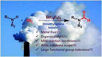 Graphical abstract: B(C6F5)3: a robust catalyst for the activation of CO2 and dimethylamine borane for the N-formylation reactions