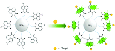 Graphical abstract: Naphthalimide-based fluorescent nanoprobes for the detection of saccharides
