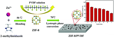 Graphical abstract: Immobilization of cellulase proteins on zeolitic imidazolate framework (ZIF-8)/polyvinylidene fluoride hybrid membranes
