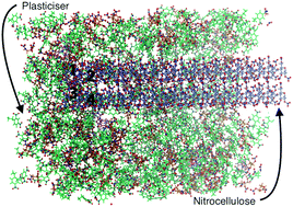 Graphical abstract: A molecular dynamics study of plasticiser migration in nitrocellulose binders