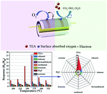 Graphical abstract: The facile synthesis of MoO3 microsheets and their excellent gas-sensing performance toward triethylamine: high selectivity, excellent stability and superior repeatability