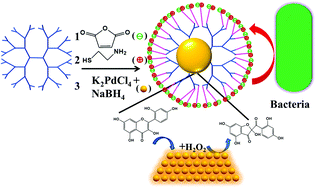 Graphical abstract: Highly stable and biocompatible zwitterionic dendrimer-encapsulated palladium nanoparticles that maintain their catalytic activity in bacterial solution