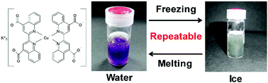 Graphical abstract: Water-soluble copper(i) complexes bearing 2,2′-bicinchoninic acid dipotassium salt with red-light absorption and repeatable colour change upon freezing operation