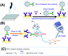 Graphical abstract: Glucose oxidase-loaded liposomes for in situ amplified signal of electrochemical immunoassay on a handheld pH meter