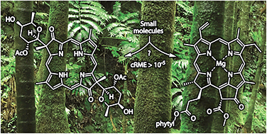 Graphical abstract: Total synthesis campaigns toward chlorophylls and related natural hydroporphyrins – diverse macrocycles, unrealized opportunities