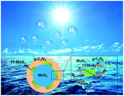 Graphical abstract: Stable 1T-phase MoS2 as an effective electron mediator promoting photocatalytic hydrogen production