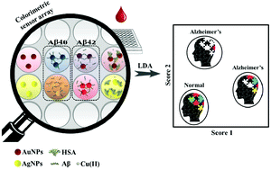 Graphical abstract: Label-free detection of β-amyloid peptides (Aβ40 and Aβ42): a colorimetric sensor array for plasma monitoring of Alzheimer's disease