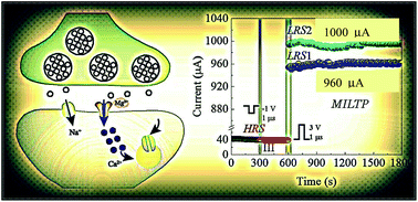 Graphical abstract: Full imitation of synaptic metaplasticity based on memristor devices
