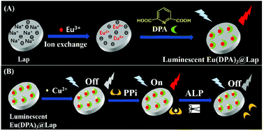 Graphical abstract: A luminescent europium-dipicolinic acid nanohybrid for the rapid and selective sensing of pyrophosphate and alkaline phosphatase activity