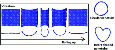 Graphical abstract: Spontaneous rolling-up and assembly of graphene designed by using defects