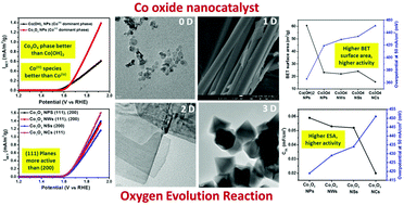 Graphical abstract: Co oxide nanostructures for electrocatalytic water-oxidation: effects of dimensionality and related properties