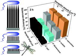 Graphical abstract: Tuning antimicrobial properties of biomimetic nanopatterned surfaces