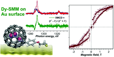 Graphical abstract: Magnetic hysteresis in self-assembled monolayers of Dy-fullerene single molecule magnets on gold