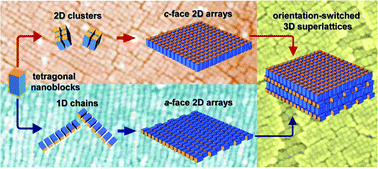 Graphical abstract: Layer-by-layer manipulation of anisotropic nanoblocks: orientation-switched superlattices through orthogonal stacking of a and c directions