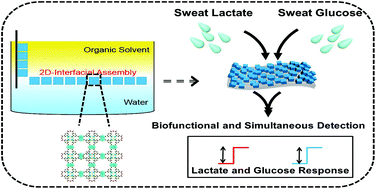 Graphical abstract: A facile modular approach to the 2D oriented assembly MOF electrode for non-enzymatic sweat biosensors