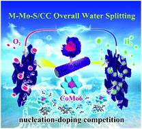 Graphical abstract: Polyoxometalate precursors for precisely controlled synthesis of bimetallic sulfide heterostructure through nucleation-doping competition