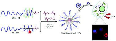 Graphical abstract: Construction of dual-functional polymer nanomaterials with near-infrared fluorescence imaging and polymer prodrug by RAFT-mediated aqueous dispersion polymerization
