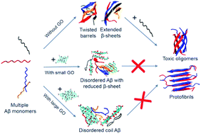 Graphical abstract: Mechanistic insights into the inhibition and size effects of graphene oxide nanosheets on the aggregation of an amyloid-β peptide fragment