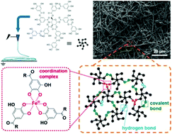 Graphical abstract: Polymer-free electrospinning of tannic acid and cross-linking in water for hybrid supramolecular nanofibres