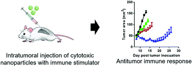 Graphical abstract: Induction of necrotic cell death and activation of STING in the tumor microenvironment via cationic silica nanoparticles leading to enhanced antitumor immunity