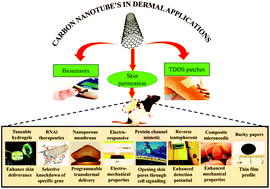 Graphical abstract: Carbon nanotubes (CNTs) based advanced dermal therapeutics: current trends and future potential