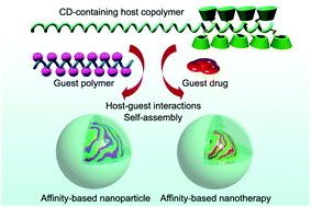Graphical abstract: Self-assembly of affinity-controlled nanoparticles via host–guest interactions for drug delivery