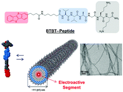 Graphical abstract: The design and fabrication of supramolecular semiconductor nanowires formed by benzothienobenzothiophene (BTBT)-conjugated peptides