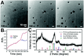 Graphical abstract: Growth mechanism of core–shell PtNi–Ni nanoparticles using in situ transmission electron microscopy